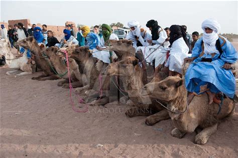 morocco nomadic festival.